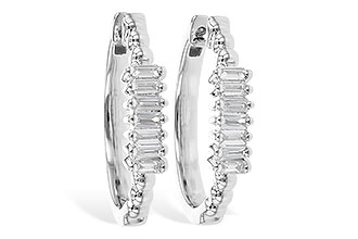 K318-78067: EARR .20 TW BAGUETTES